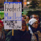 Mueller Sign